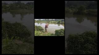 Menjala ikan di rawa fishingjalaikan fypシ゚viral [upl. by Eberhart]