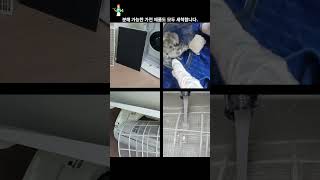 동대문구 화재청소 불난집청소 시공 안내 화재청소 불난집청소 화재복구 화재냄새제거 [upl. by Berner]