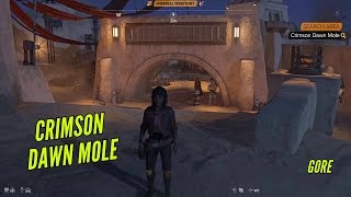 Locate the Crimson Dawn Mole in Bestine on Tatooine  Star Wars Outlaws [upl. by Archibaldo335]