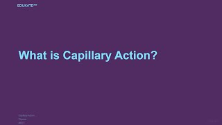 What is Capillary Action [upl. by Nila]