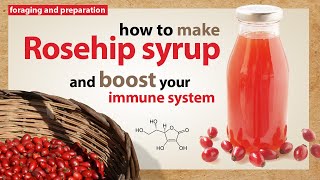 How to make rosehip syrup  foraging and preparation [upl. by Ydnew]