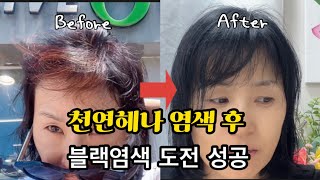 “10년 헤나 염색 후 블랙 염색 도전” 내돈내산 리얼 후기 미장센￼ 헬로드림 미스틱블랙 [upl. by Ahsilyt]