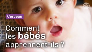 Dans la tête des bébés  Reportage CNRS [upl. by Ardnasela]