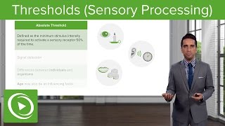 Thresholds Sensory Processing – Sensing the Environment  Lecturio [upl. by Eelrehpotsirhc]