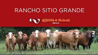 53 Rancho Sitio Grande 2016 [upl. by Hogue]