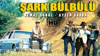 Şark Bülbülü Türk Filmi  RESTORASYONLU  Kemal Sunal Filmleri [upl. by Iover905]