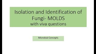 All about Isolation and identification of fungi Molds  MSc practical series  Microbiology [upl. by Beeson]