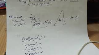 Why B Blockers are Contraindicated in Asthma and COPD [upl. by Elehcor]