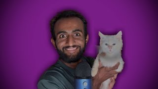 ASMR With My Cat 🐈 jerry [upl. by Adnyleb]