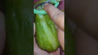 Squash BhajaNorth Indian Vegetable Part1youtubeshorts food reetubadhai [upl. by Haya426]