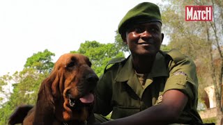 La lutte antibraconnage au parc des Virunga [upl. by Nakhsa]