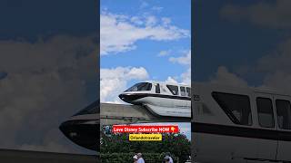 Walt Disney World Monorail shorts disneyworld fun train travel fyp [upl. by Malvino]