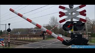 Spoorwegovergang Wijhe  Dutch railroad crossing  2024 UPDATE [upl. by Gregoire]