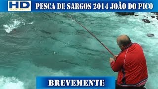 Pesca de Sargos Joao do Pico Brevemente 2014 [upl. by Solegnave842]