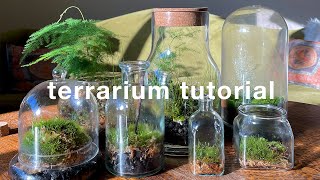 How to make a closed terrarium and basic care  easy tutorial [upl. by Nnawtna777]