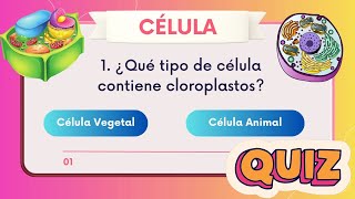 🦠🌱 célula vegetal o animal 🧬¿Cuánto sabes de la célula vegetal y animal 🎯 quiz test examen UNAM 📝 [upl. by Iglesias]