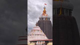 🚩World famous festival the Rathayatra puri🚩 jagannath temple odisha⭕‼️⭕🙏jagannath rathyatra [upl. by Ynnob435]