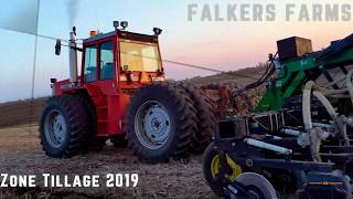 Falkers Farms  Strip Tillage 2019  Massey Ferguson 4900  4880 [upl. by Ityak]