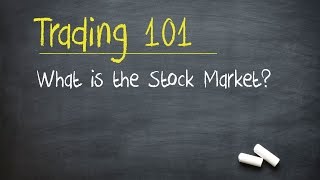 Trading 101 What is the Stock Market [upl. by Shimberg963]