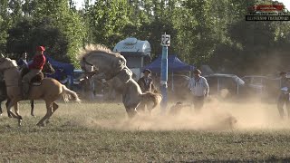 GRAN JINETEADA BROCHE DE ORO CON EL CUERO TENDIDO DE CRIADORES CON CABALLOS INSCRIPTOS [upl. by Nnyleitak]