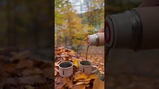 Bakuriani Didvelide ormanda kahve In the forest coffee from the camp thermos [upl. by Ahsonek]