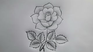 Rose Drawing  How To Draw A Rose  Flower Design Drawing  Flower Art [upl. by Ap]