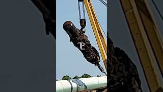 Side boom coming in with internal clamps  Pipeline pipeliner bluecollar [upl. by Sucramel]