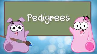 An Introduction to Pedigree Analysis [upl. by Asinet468]