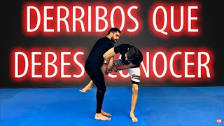 3 DERRIBOS a Una Pierna que DEBES CONOCER ▶ Para BJJ amp MMA [upl. by Marven418]