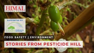 Cardamom Stories from Pesticide Hill [upl. by Badger]