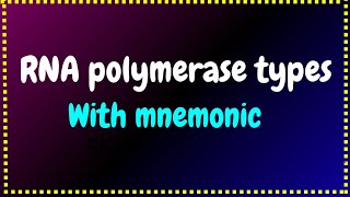 RNA POLYMERASE TYPES in eukaryotes and prokaryotes [upl. by Mackie544]