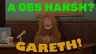 GARETH  A OES HANSH [upl. by Hoisch888]