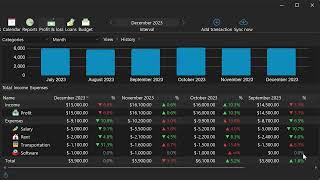 Profit and Loss Statement PampL report [upl. by Yruok]