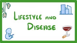 GCSE Biology  Is Your Lifestyle Really a Personal Choice  Lifestyle amp Risk Factors 42 [upl. by Albion]