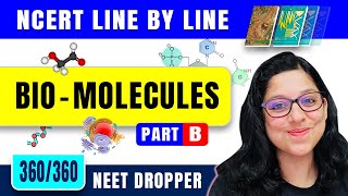 Biomolecules  Proteins And Amino Acid  Biology Class 11  NEET 2024  2025 [upl. by Eb164]