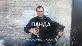 Мы бежим с тобой как будто от гепарда ♫ ♫ НА БАЯНЕ [upl. by Hullda413]