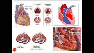 THORAX CLINICALS PPT  Part I  Dr M Kamran Ameer [upl. by Jochebed523]