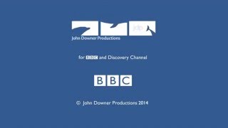 John Downer ProductionsBBCBBC Earth 2014 [upl. by Nihhi]