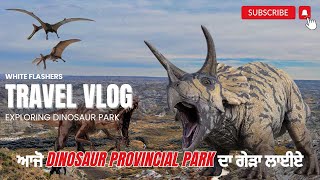 Dinosaur Provincial Park calgary photography calgaryalberta dji sony travel [upl. by Campman]