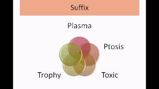 Medical Terminology Part 1Intro to Root Prefix Suffix [upl. by Notsob]