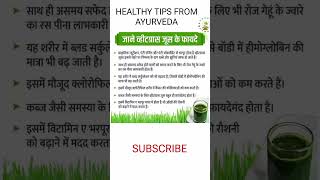 Benefits of Wheatgrass juice wheatgrassbenefits wheatgrassjuice ytshortsvideo shorts ayurveda [upl. by Ahsinat]