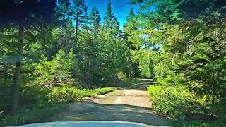 High in the Siskiyou National Forest near Grayback Mountain Near Oregon Caves National Monument [upl. by Attezi]