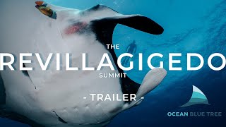 The Revillagigedo Summit by Ocean Blue Tree  TRAILER [upl. by Eachern]