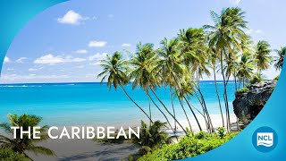 Best Cruises to Caribbean  2025  2026 Cruises  Norwegian Cruise Line [upl. by Conrado]