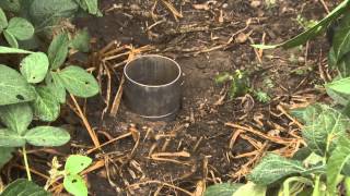 Soil Infiltration Test [upl. by Mikel]