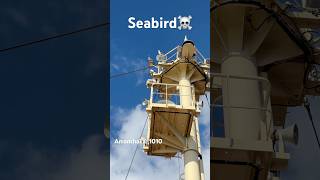 Ship rukte hii aa gyii samundari sea Eagle🛳️☠️🦅 explore ship shortvideo travel [upl. by Hirasuna]