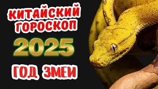 Китайский гороскоп на 2025 год по году рождения [upl. by Bent445]