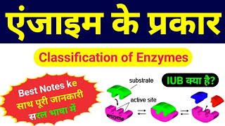 एंजाइम का वर्गीकरण  Classification of Enzymes  types of enzymes in hindi  enzyme ke prakar  bio [upl. by Derwon958]