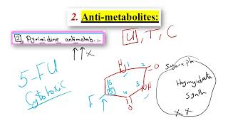 Anti neoplastic Drugs part 2  Medicinal Chemistry  E  PDF 👇 [upl. by Boone]