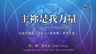 【主祢是我力量 You Are My Strength】官方歌詞版MV Official Lyrics MV  讚美之泉敬拜讚美 11P [upl. by Nahgaem]